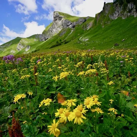 Апартаменты Bergrose