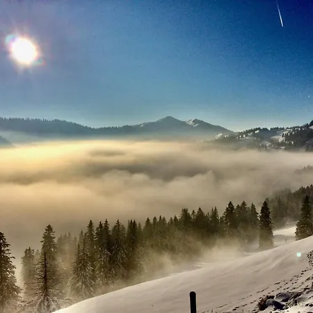 Apartment Bergrose Obermaiselstein