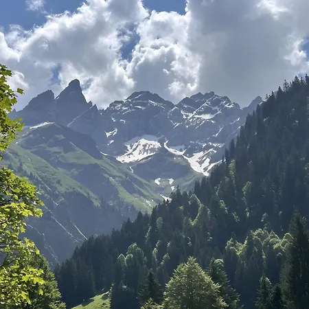 Bergrose