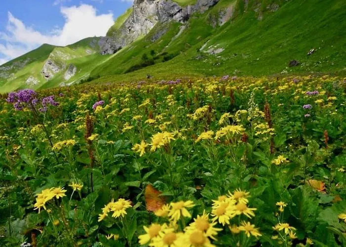 アパート Bergrose