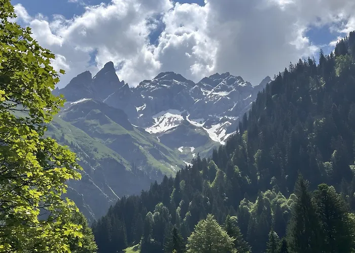 Bergrose Apartment Obermaiselstein