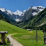 Bergrose
