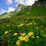 Apartman Bergrose