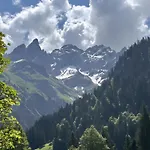Bergrose