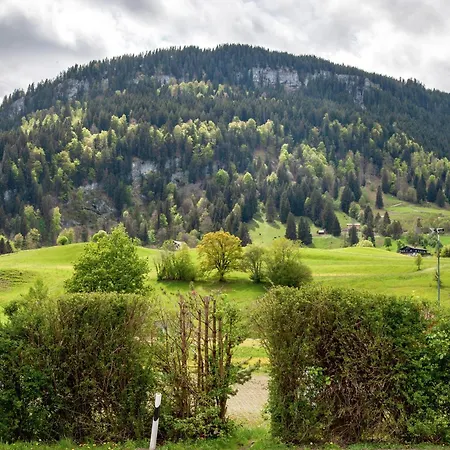 Bergrose * Obermaiselstein